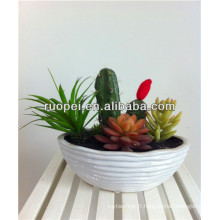 2014 Gros Cactus Artificiel Plantes Mini Cactus